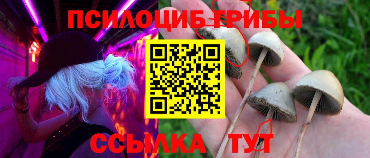 как найти закладки  Вход с VPN  Волоколамск  Псилоцибиновые грибы мицелий 